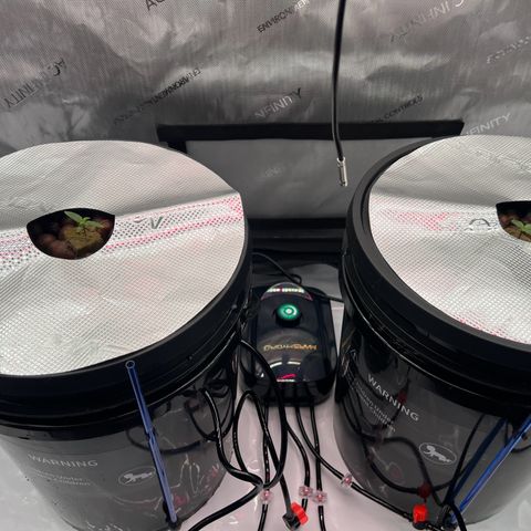 ILGM Blue Dream Auto growlog timeline photo