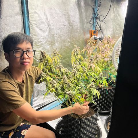 Godfather growlog timeline photo