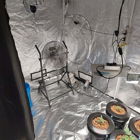 Purple Girls growlog photo: Fan upgrade 