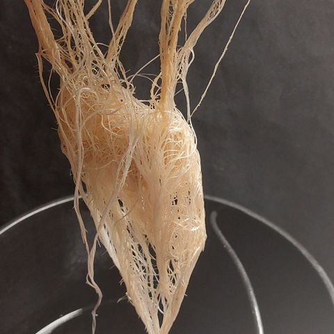 PB Souffle  growlog timeline photo