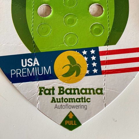 Fat Banana Automatic #1 growlog photo