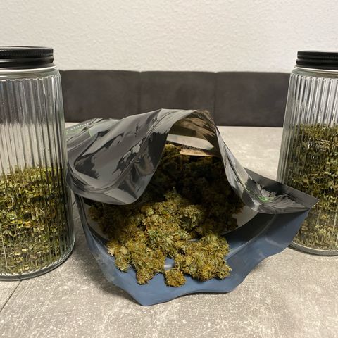Fat Banana Automatic #1 growlog timeline photo