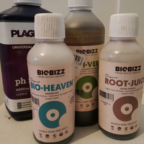 Imperium X growlog photo: Gedüngt mit:
Root-Juice 4ml/l
Bio-Heaven 2ml/l
Akti-Vera 2ml/l
Ph: 6,3