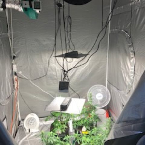 Girls #4 growlog timeline photo