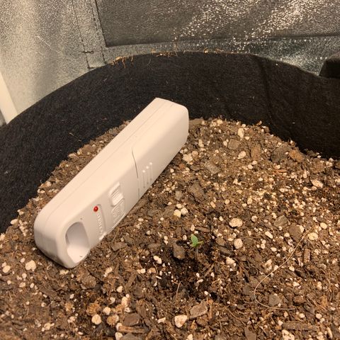 Girls #4 growlog photo