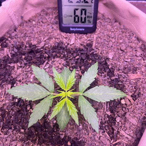 Berta growlog photo: Erste Nacht im Zelt 