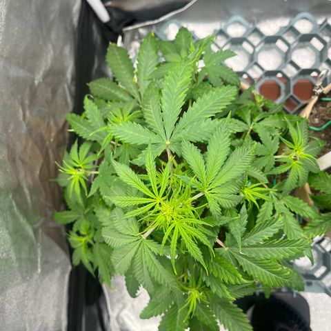 Berta growlog photo: Zeit für Wasser