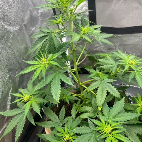 Berta growlog photo: Sie gut aus heute ☺️