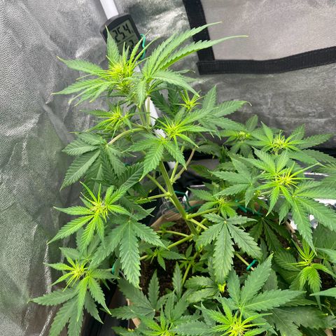 Berta growlog photo: Sie gut aus heute ☺️