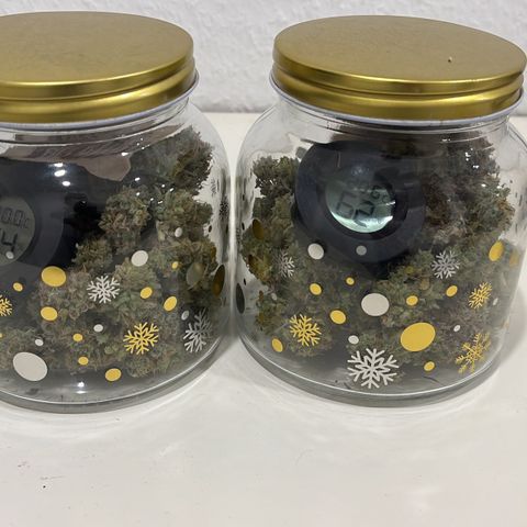Berta growlog timeline photo