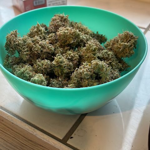 Berta growlog timeline photo
