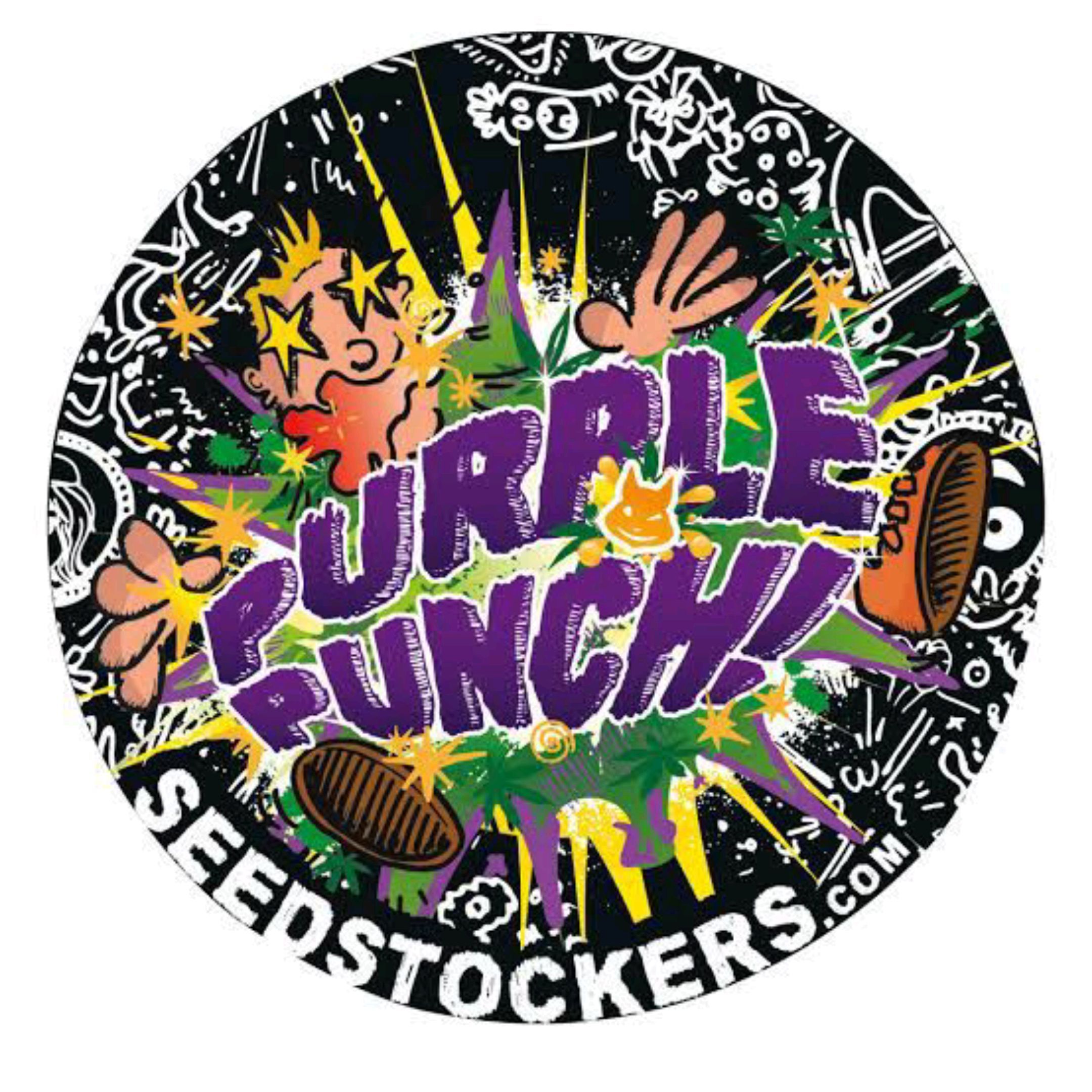 Purple Punch Autoflower growlog header