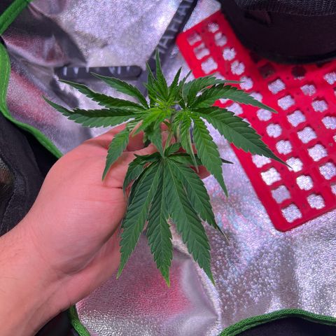 AK-420 #1 growlog timeline photo