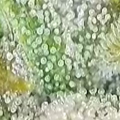 Mary Jane growlog timeline photo
