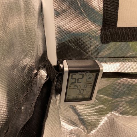 ManBearAlienPig growlog timeline photo