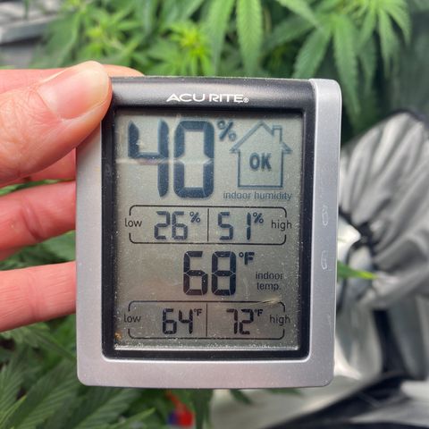 ManBearAlienPig growlog timeline photo