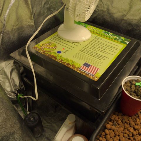 Mo growlog timeline photo