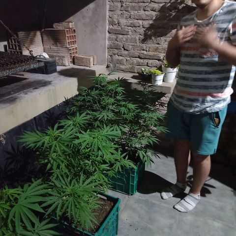 007 growlog timeline photo