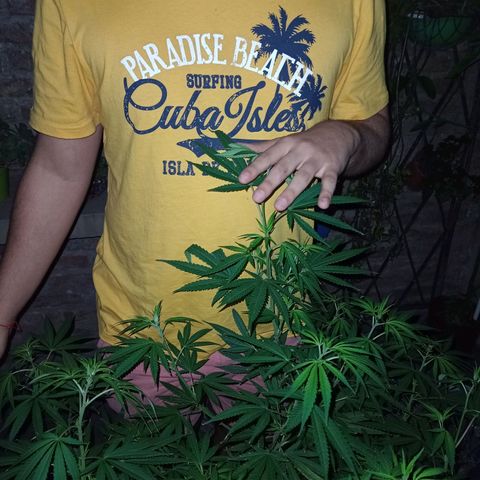 007 growlog timeline photo