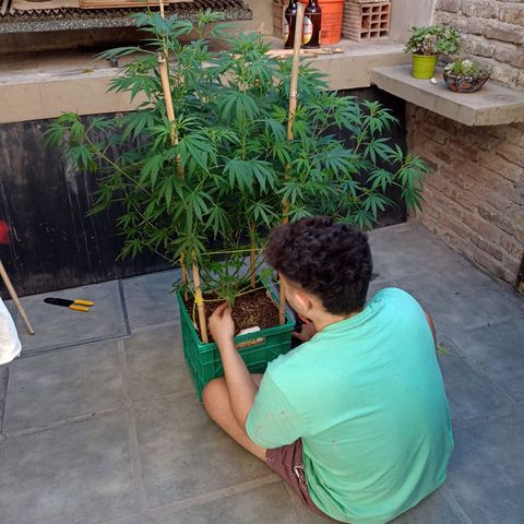 007 growlog timeline photo