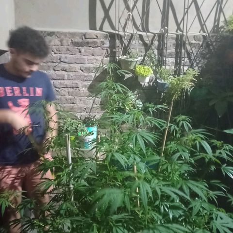 007 growlog timeline photo