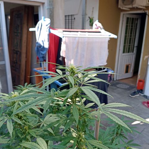 007 growlog timeline photo