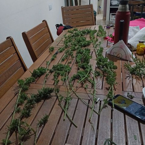 007 growlog timeline photo