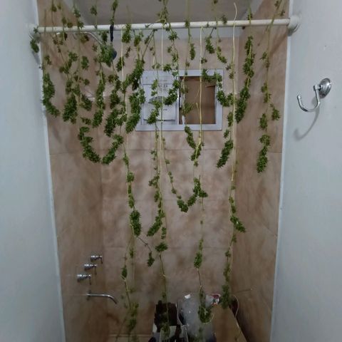 007 growlog timeline photo