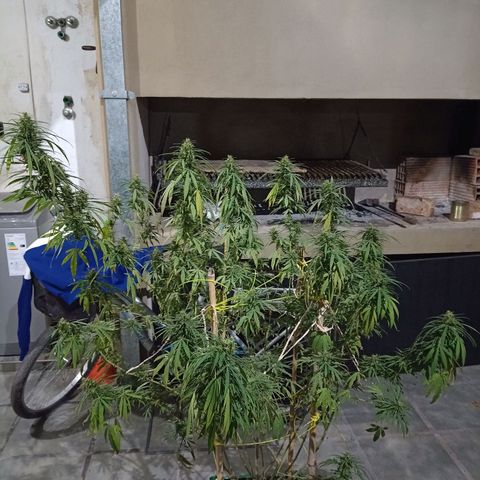 007 growlog timeline photo
