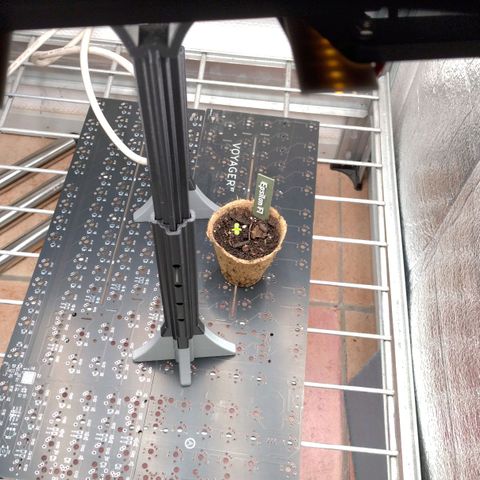 Epsilon growlog timeline photo
