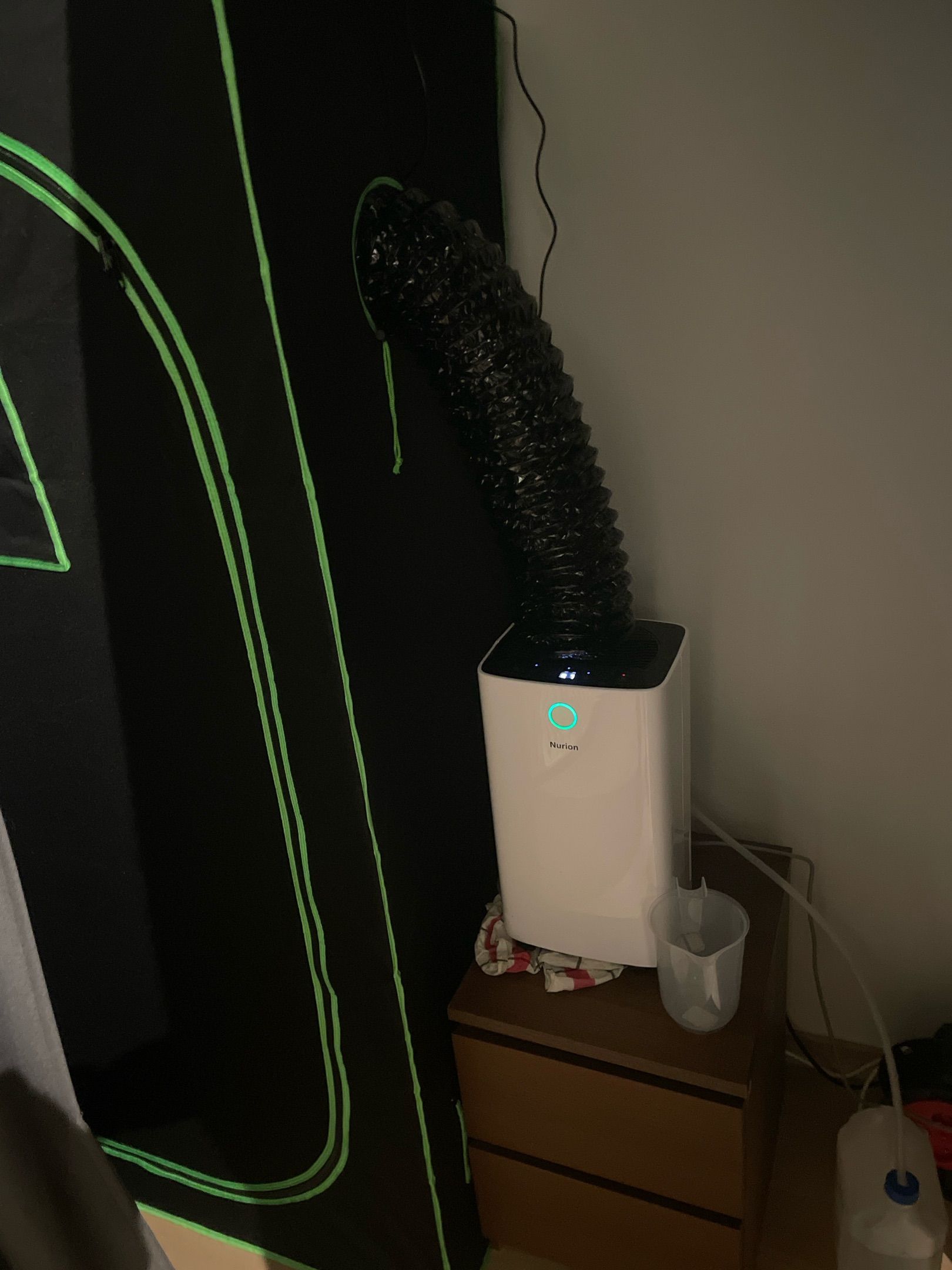 Amber - Blue gelato #41 growlog photo 70