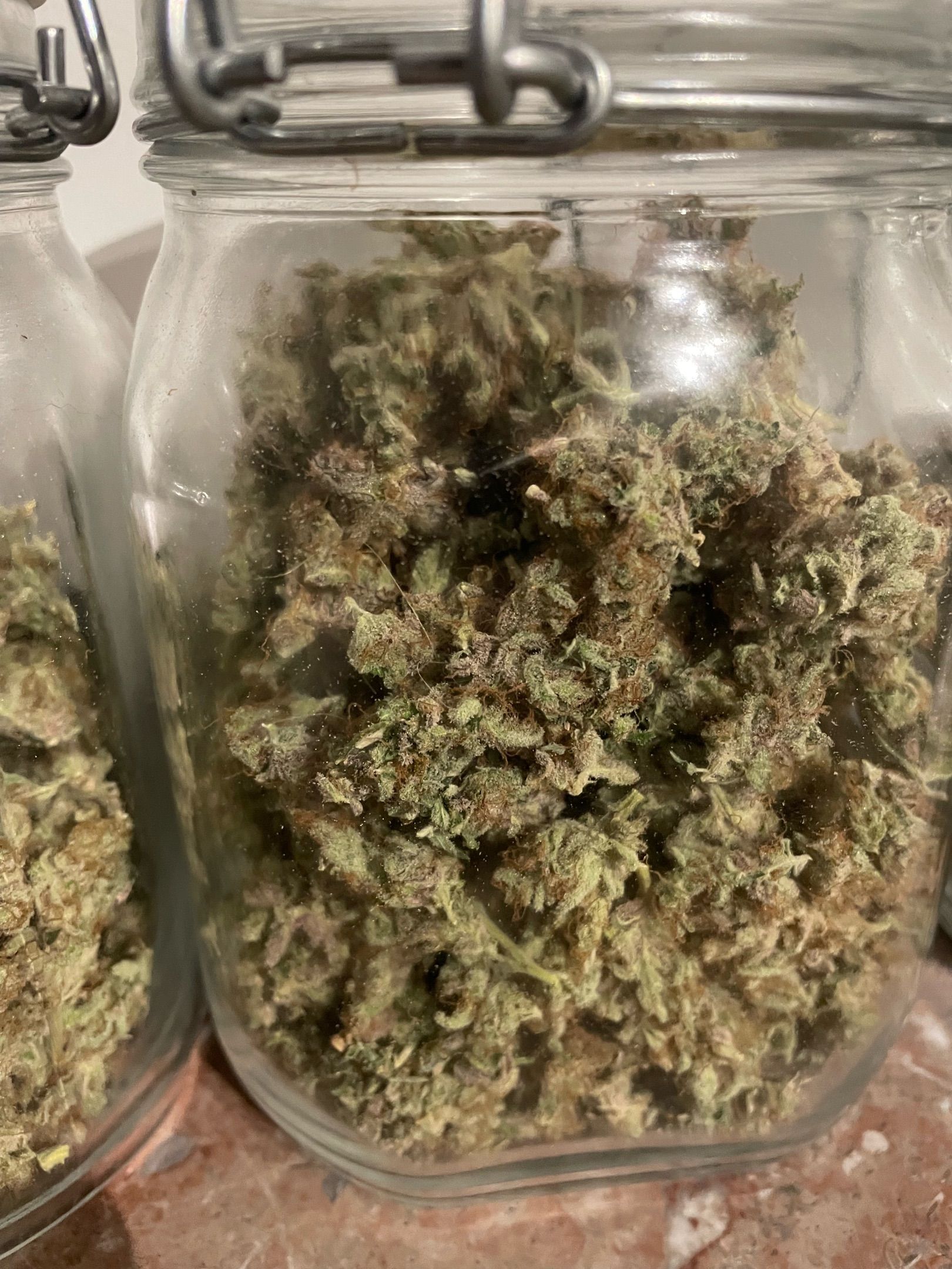 Amber - Blue gelato #41 growlog photo 226