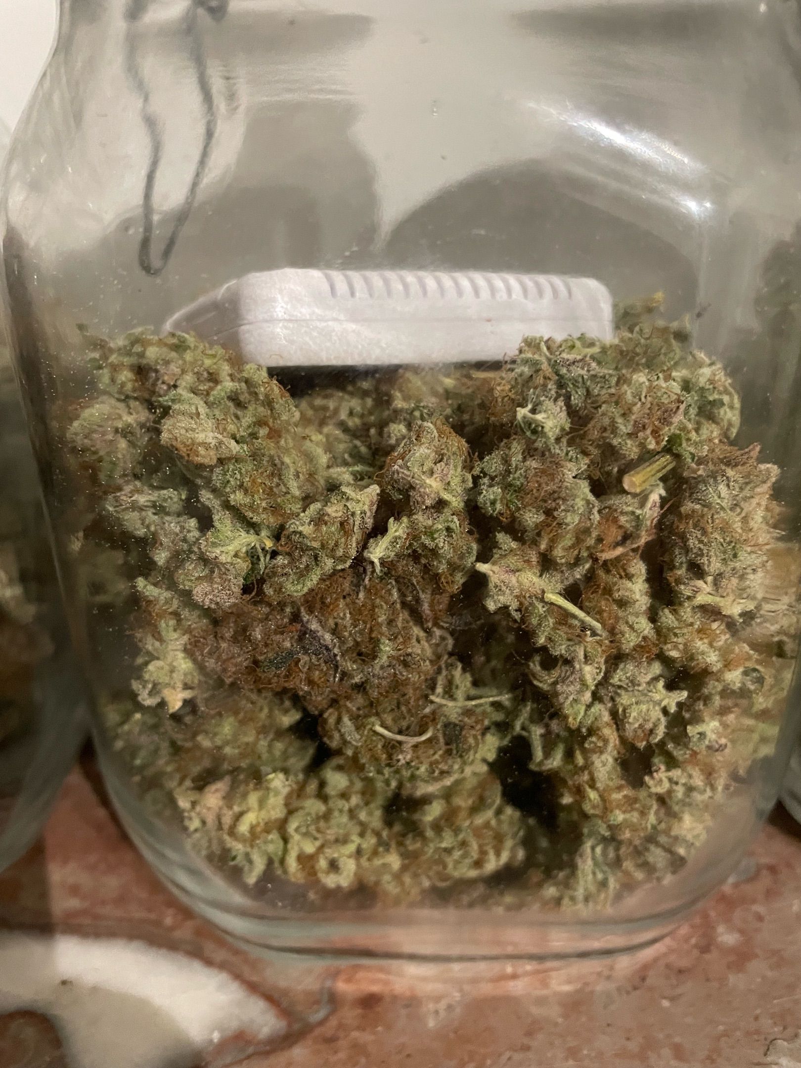 Amber - Blue gelato #41 growlog photo 227