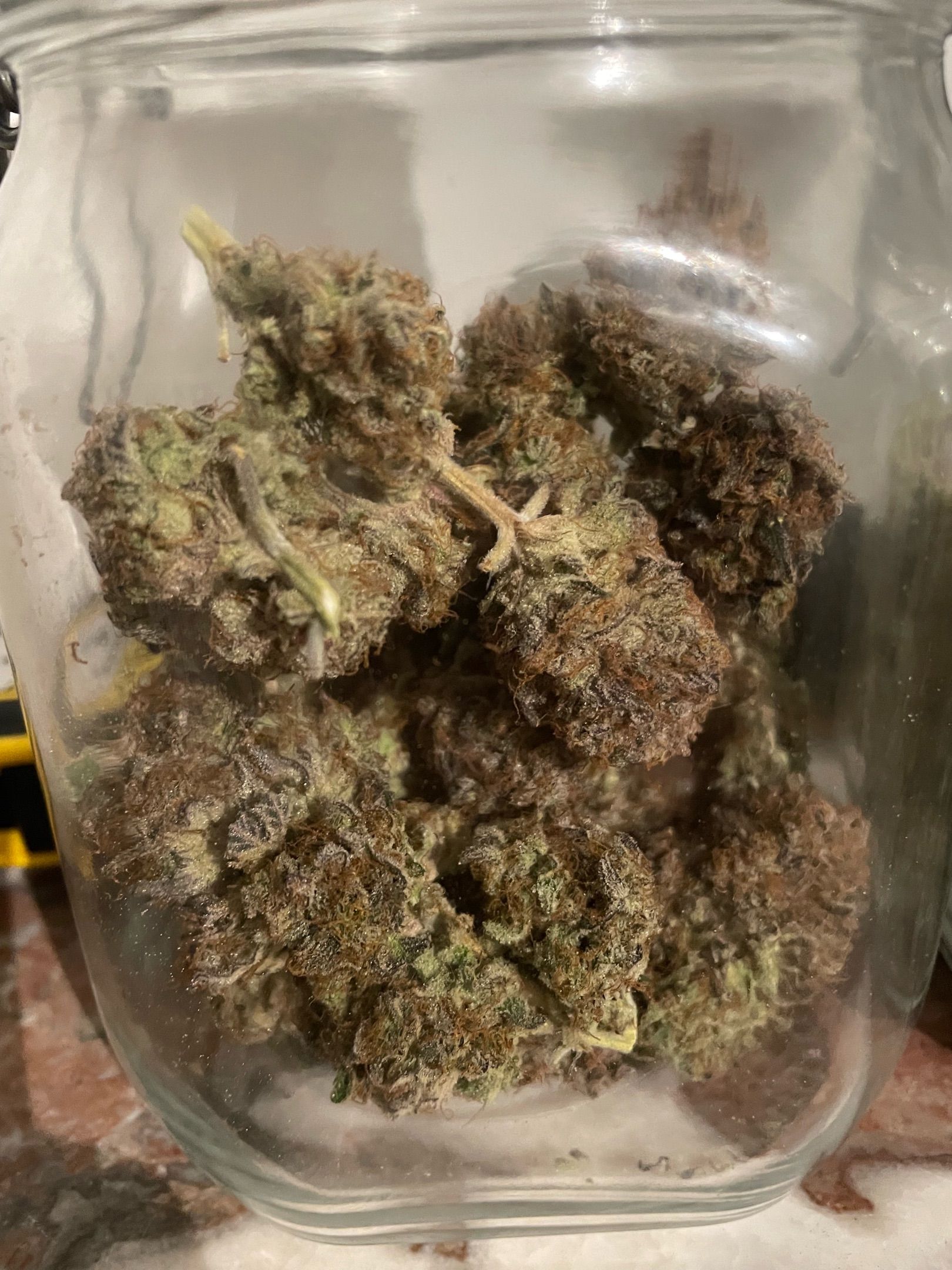 Amber - Blue gelato #41 growlog photo 229