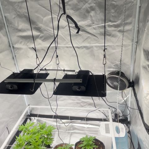 Noble G growlog photo: 2nd s22 ionboard installed 