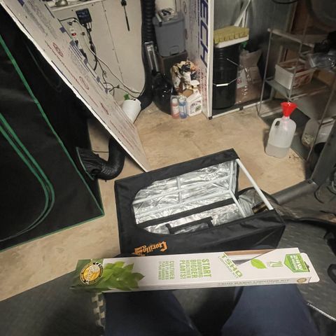 Noble G growlog photo: MINI GORILLA TENT ADDED FOR CLONES AND SEEDLINGS.