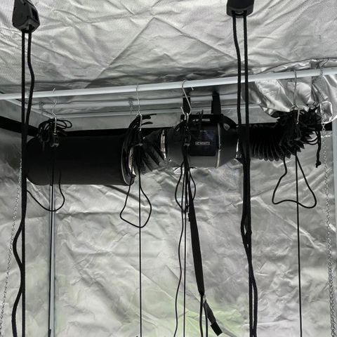 Mac 1 growlog photo: A few pics