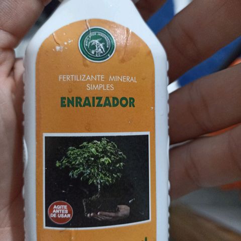 Girafa growlog timeline photo