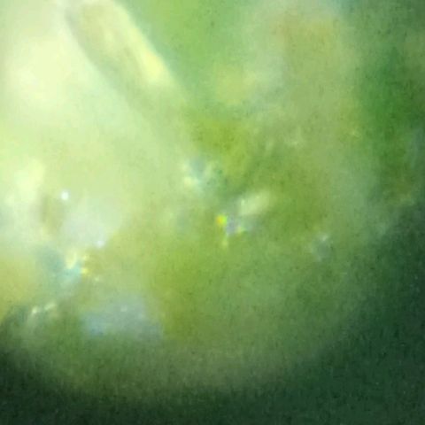 Girafa growlog photo: Usando uma lente de webcam foi feito um microscópio caseiro e portátil 