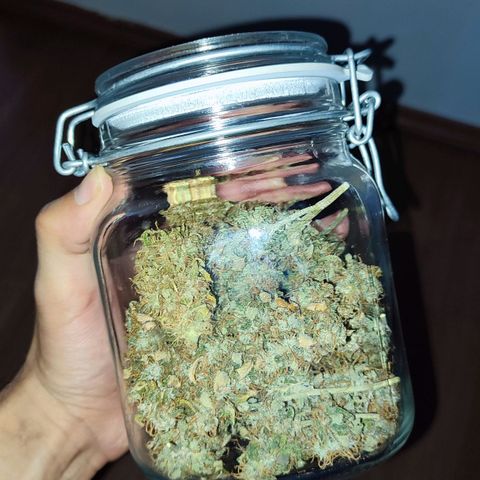 Sour Candy growlog timeline photo