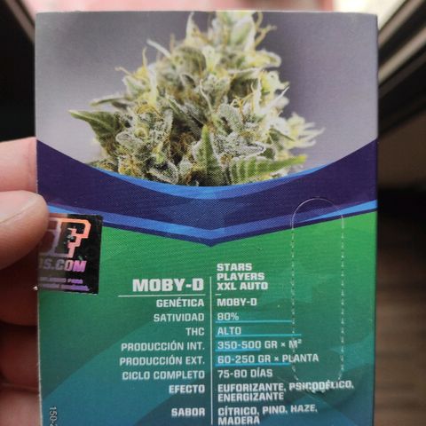 Moby-D XXL Auto growlog photo: Proceso