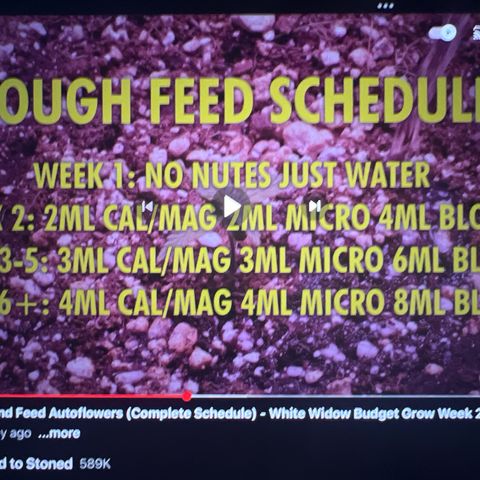  1 Durban Poison - Auto growlog photo: Sample feed schedule to use going forward 