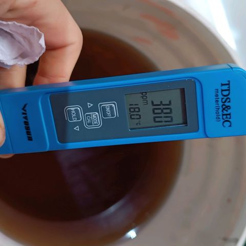 Selva negra 1 growlog timeline photo