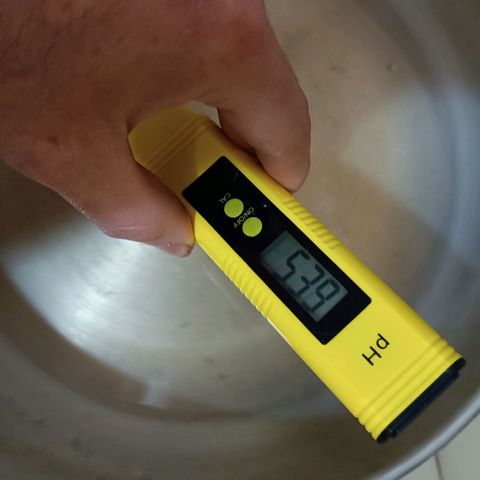 Selva negra 1 growlog timeline photo