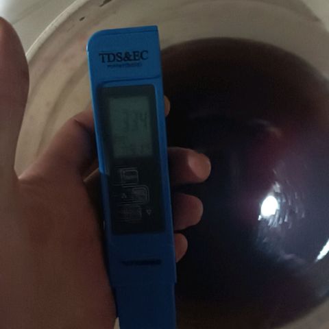 Selva negra 1 growlog timeline photo