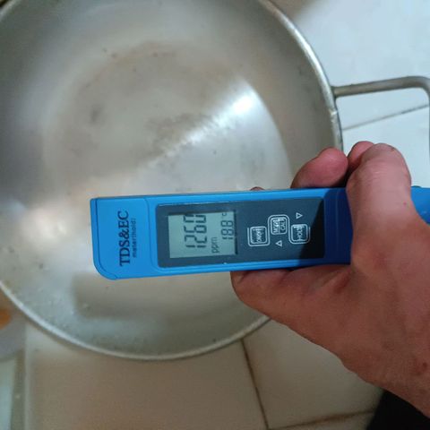 Selva negra 1 growlog photo: The flushed water shows an average of 1100ppm EC, I think was too high than expected. 