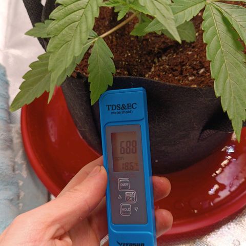 Selva negra 1 growlog timeline photo
