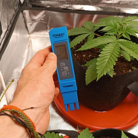 Selva negra 1 growlog timeline photo