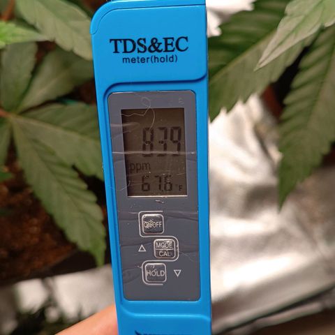 Selva negra 1 growlog timeline photo