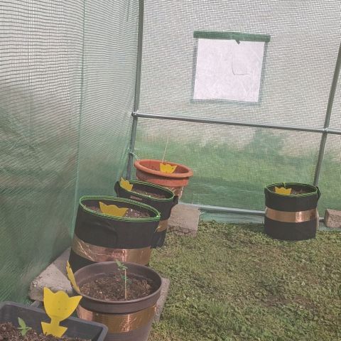 Titan #1 growlog timeline photo